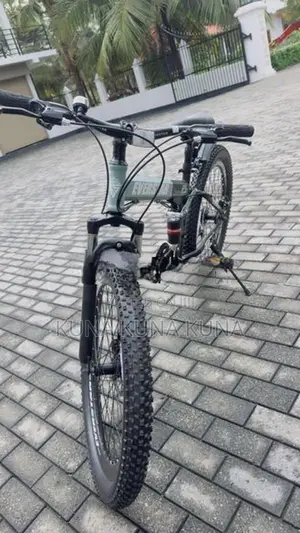 Folding Bicycle