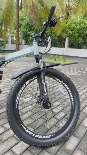 Folding Bicycle
