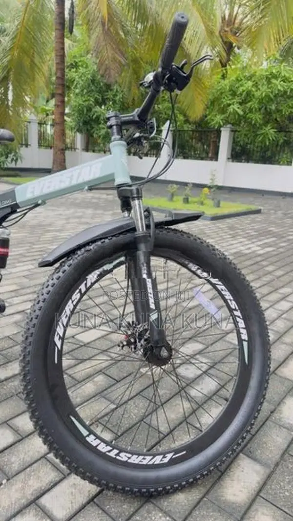 Folding Bicycle