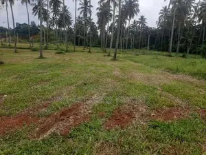 Land for Sale with All the Facilities in Narammala