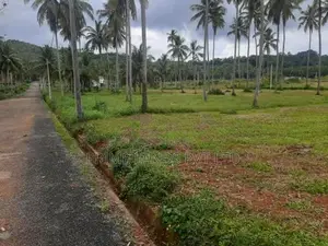 Land for Sale with All the Facilities in Narammala