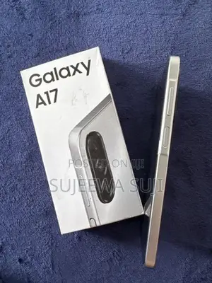 Samsung Galaxy A17 (Used)