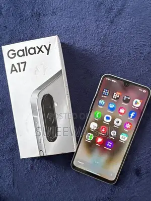 Samsung Galaxy A17 (Used)