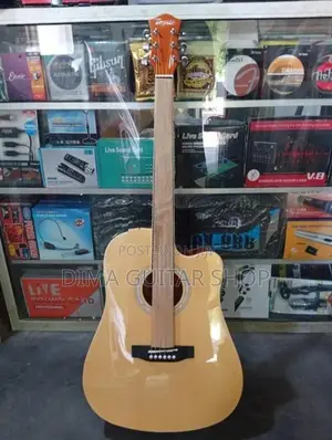 Acoustic Guitar