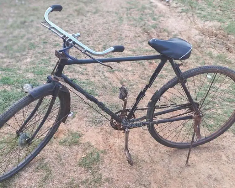 Lumala Bicycle