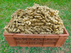 දේශීය බීජ ඉගුරු - Ginger Seeds