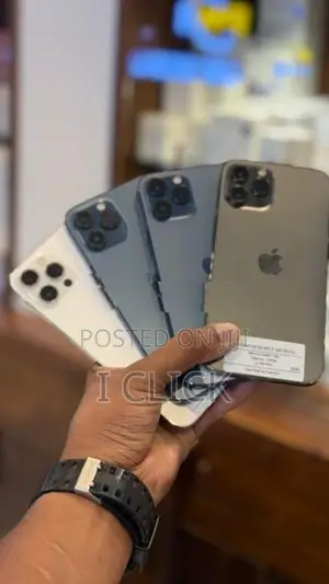 Apple iPhone 12 Pro Max 256GB (Used)