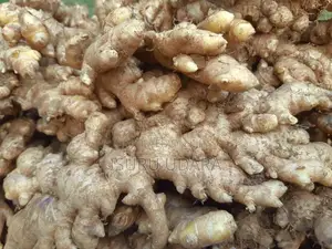දේශීය බීජ ඉගුරු - Ginger Seeds