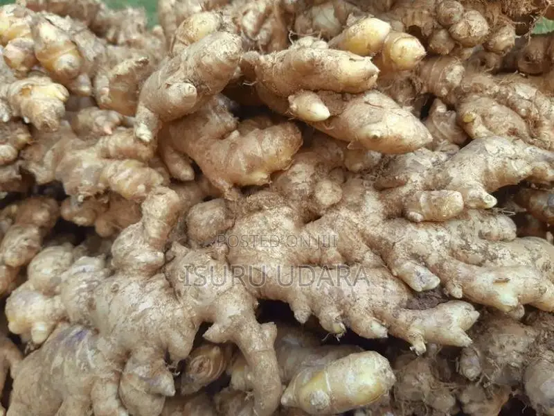 දේශීය බීජ ඉගුරු - Ginger Seeds