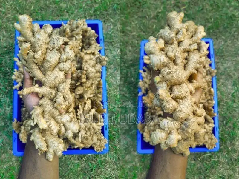 දේශීය බීජ ඉගුරු - Ginger Seeds