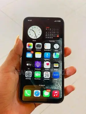 Apple iPhone X (Used)
