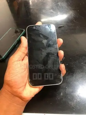 Apple iPhone 13 (Used)