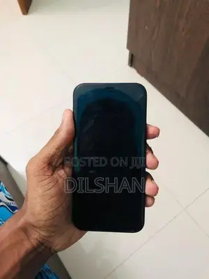 Apple iPhone 12 (Used)