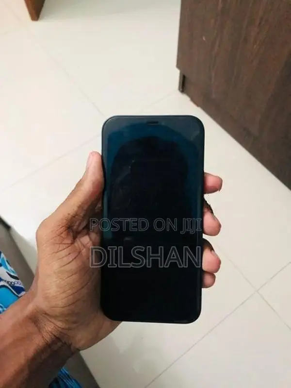 Apple iPhone 12 (Used)