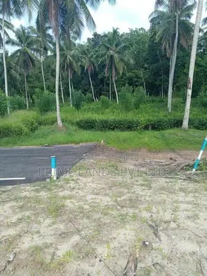 Coconut Land for Sale in Homagama