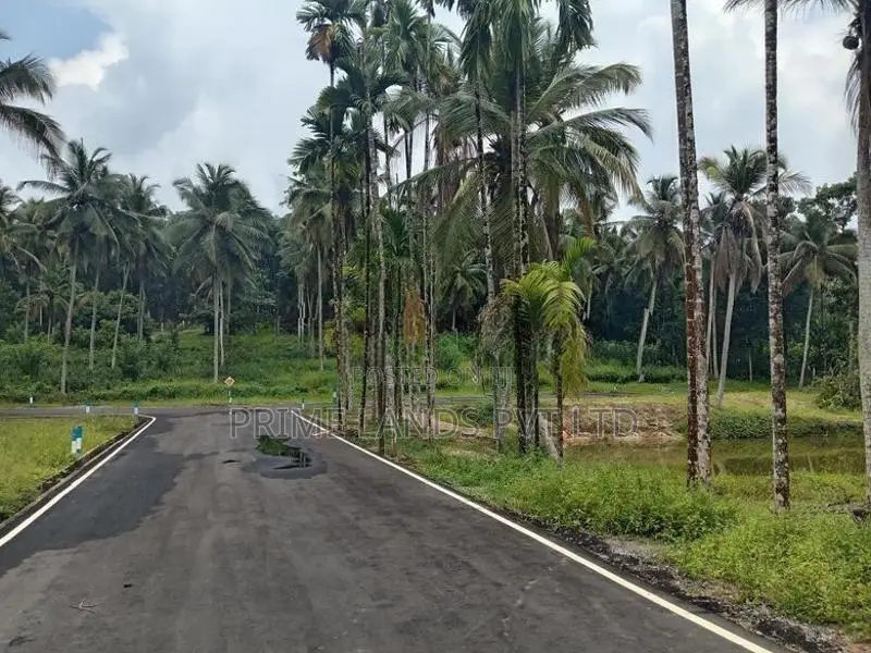 Coconut Land for Sale in Homagama