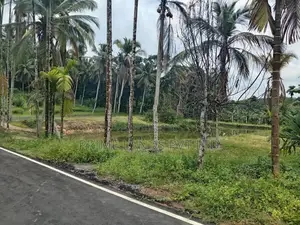 Coconut Land for Sale in Homagama