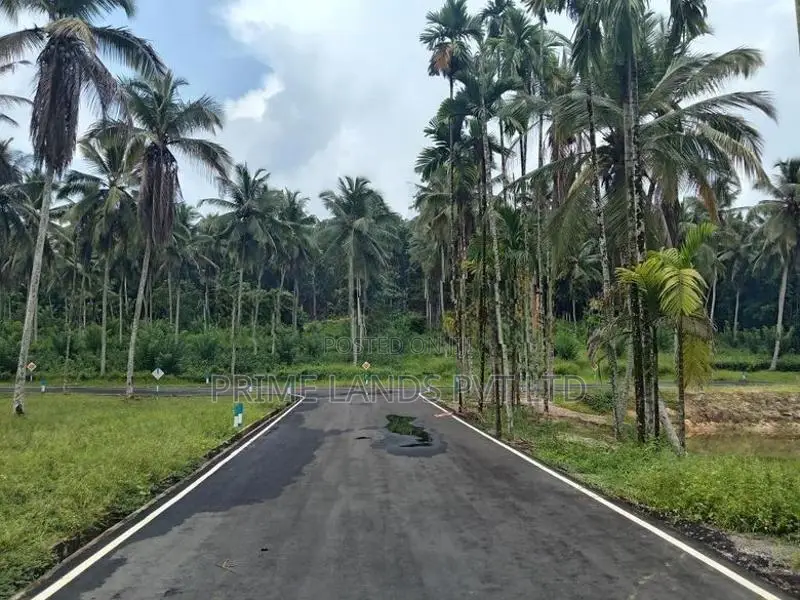 Coconut Land for Sale in Homagama