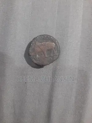 Old Coin