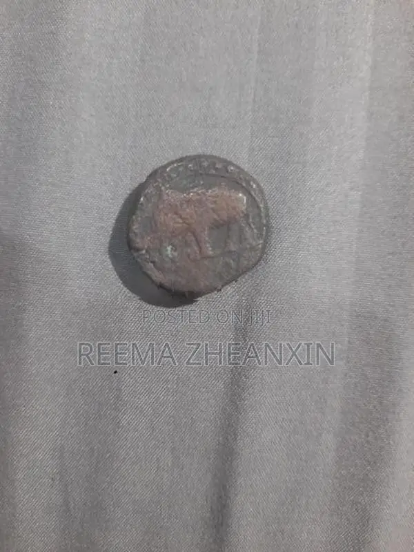 Old Coin