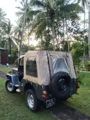 Mitsubishi 4DR 1969