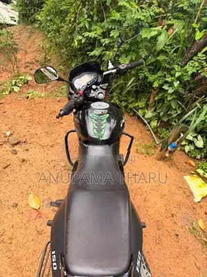Bajaj Pulsar 150 2013