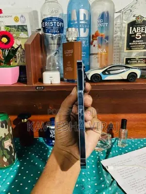 Apple iPhone 13 Pro (Used)