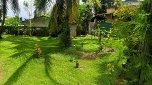 Land for Sale Near Kottawa