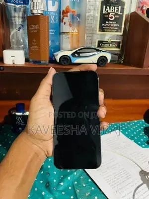 Apple iPhone 13 Pro (Used)