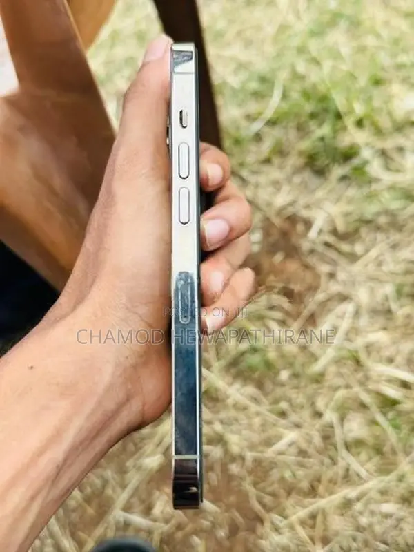 Apple iPhone 14 Pro (Used)