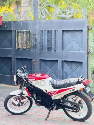 Yamaha TZR 3TY Double Disk 1996