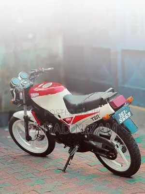 Yamaha TZR 3TY Double Disk 1996