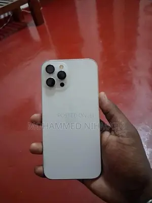 Apple iPhone 12 Pro Max (Used)