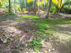Lagoon Facing 102 Perches Land for Sale in Thalahena, Negombo