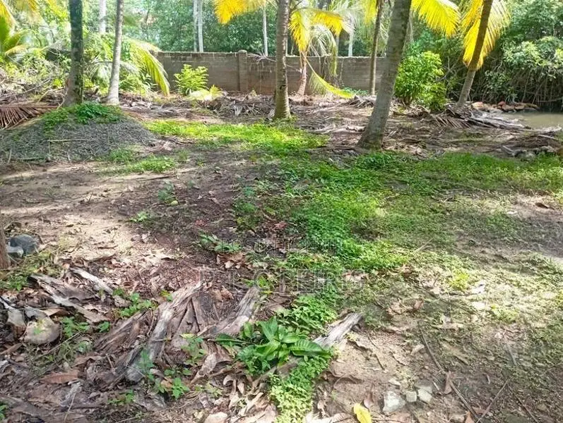 Lagoon Facing 102 Perches Land for Sale in Thalahena, Negombo