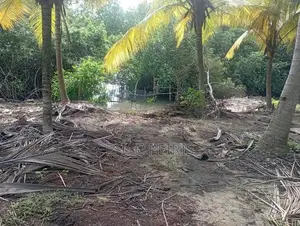 Lagoon Facing 102 Perches Land for Sale in Thalahena, Negombo