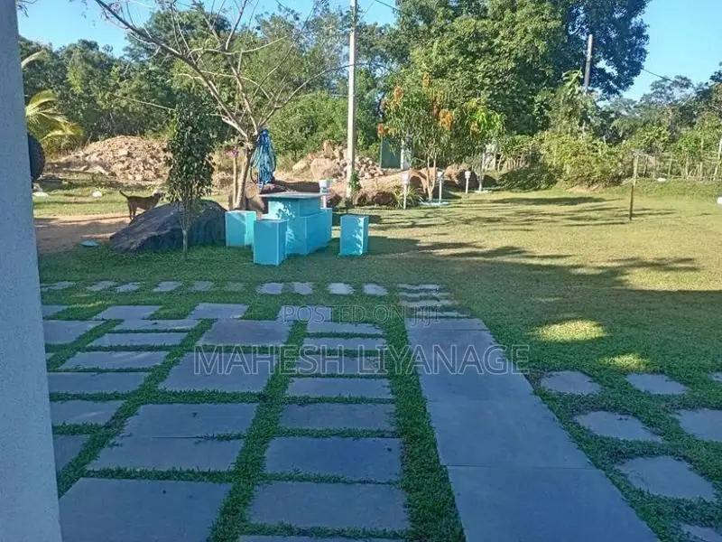 Agricultural Land for Sale Puttalam Town