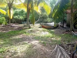 Lagoon Facing 102 Perches Land for Sale in Thalahena, Negombo