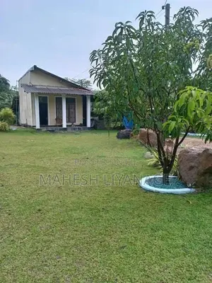 Agricultural Land for Sale Puttalam Town
