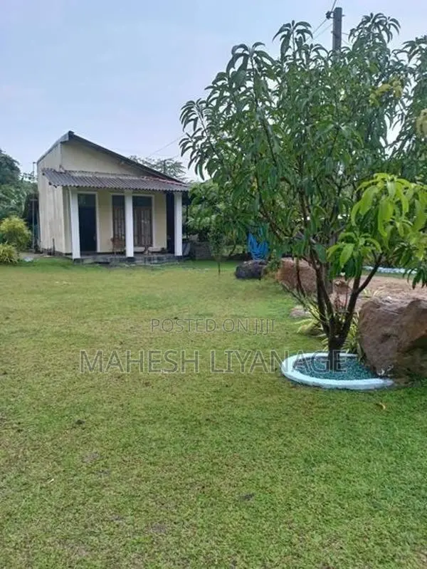 Agricultural Land for Sale Puttalam Town