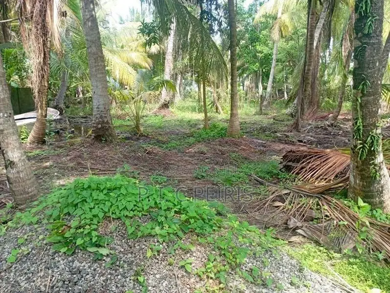 Lagoon Facing 102 Perches Land for Sale in Thalahena, Negombo