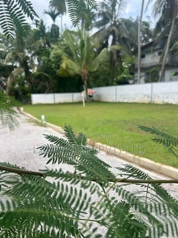 Land for Sale Malapalla