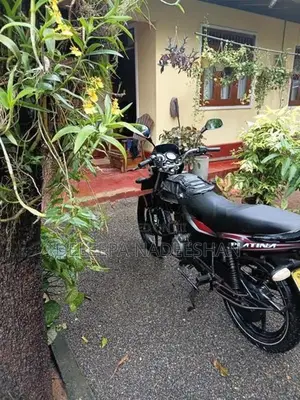 Bajaj Platina 125 2006