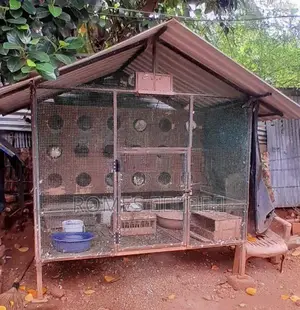 Cage with Pigeons