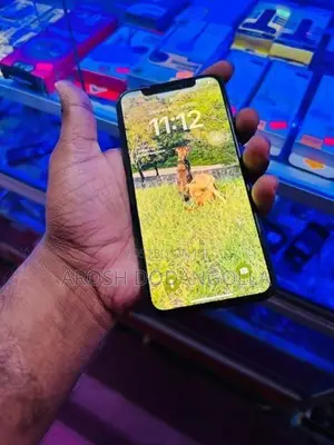 Apple iPhone X (Used)