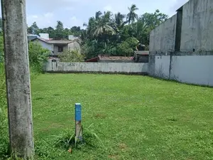Valuable Flat Land for Sale in Boralesgamuwa