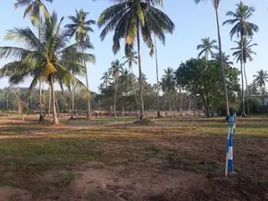 වාරියපොළ නගරයෙන්ම සින්නක්කර බිම්කොටස් විකිණීමට