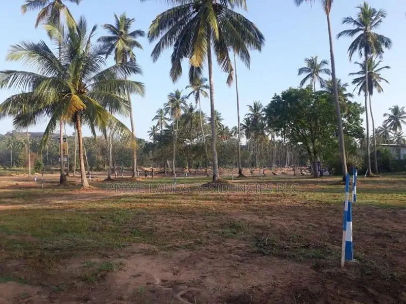 වාරියපොළ නගරයෙන්ම සින්නක්කර බිම්කොටස් විකිණීමට