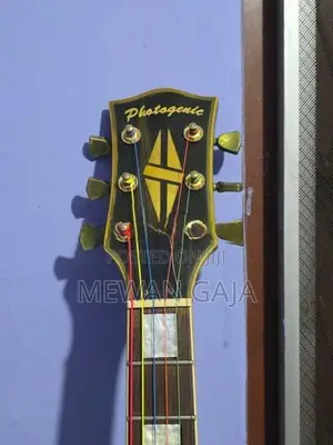 Electric Guitar