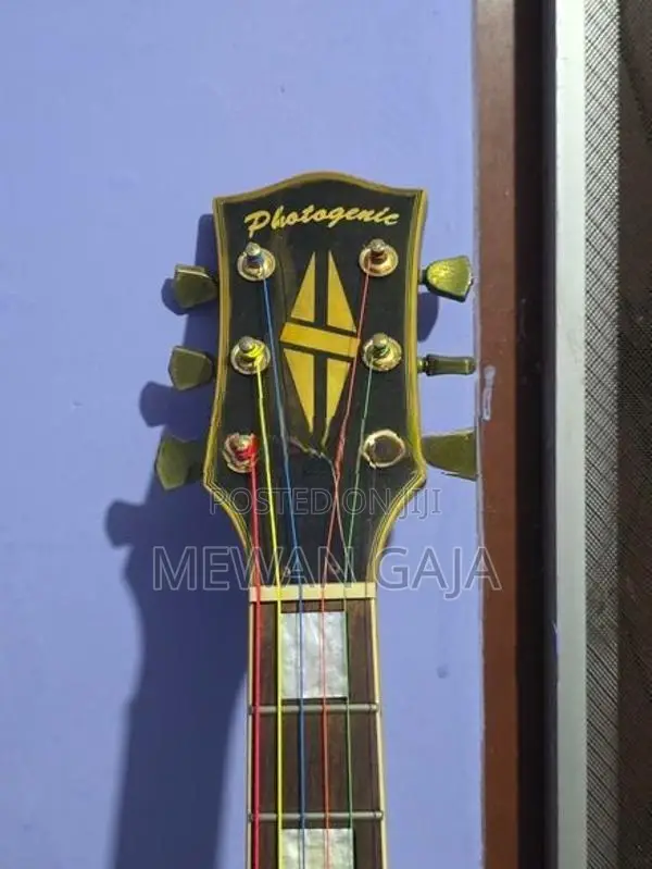 Electric Guitar